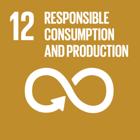 SDG 12