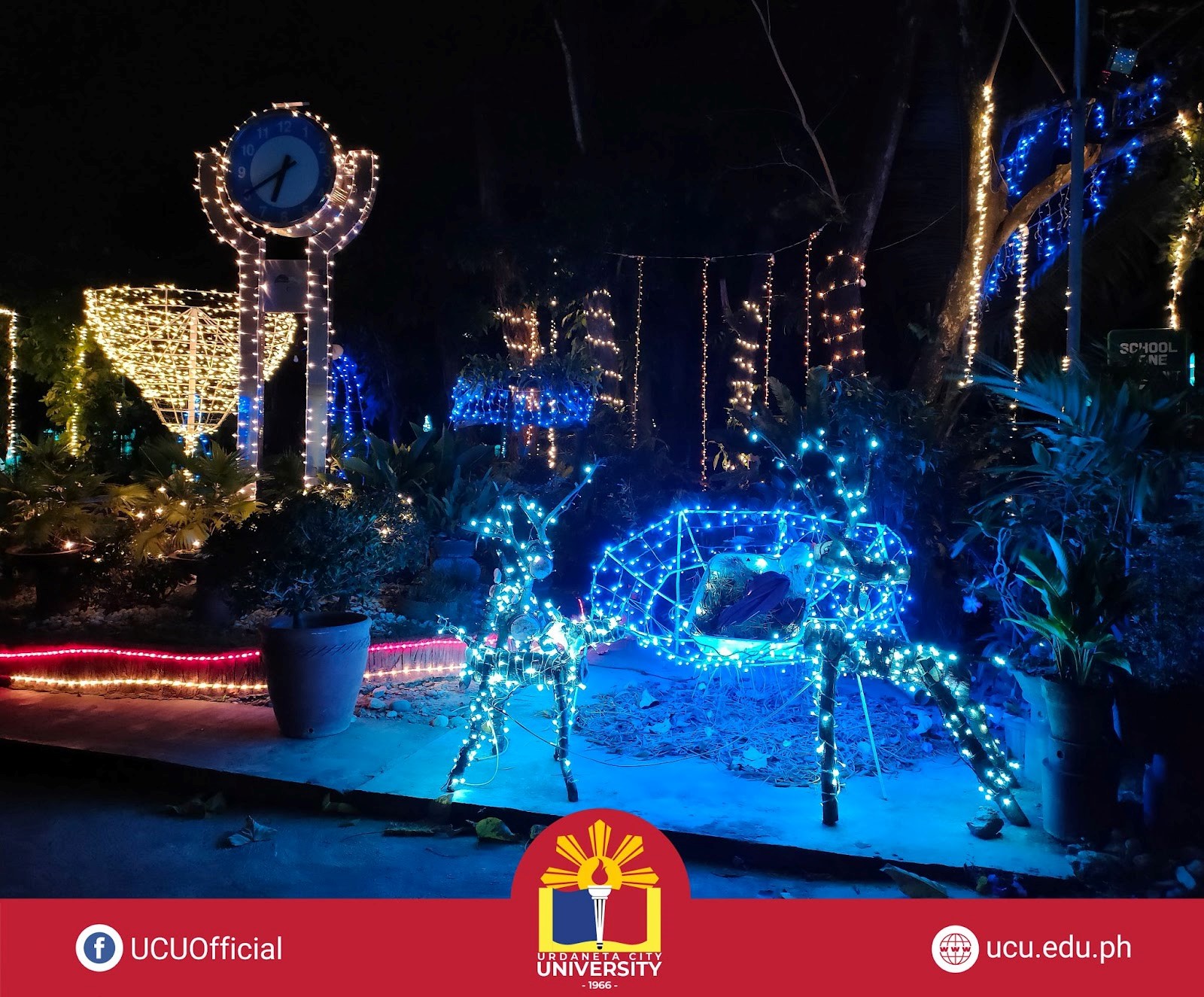 lights2.jpg